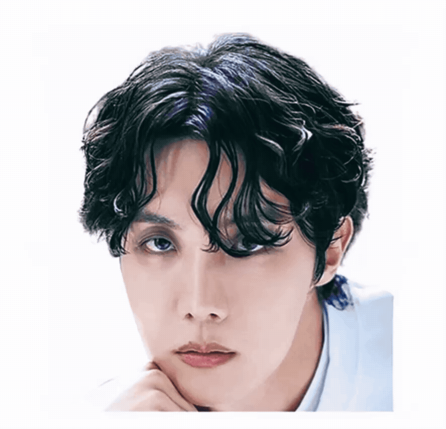 BTS 2 Motion Sticker